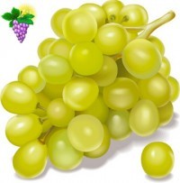 Виноградовы