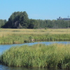 МЕРЕНКОВЫ
