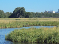 МЕРЕНКОВЫ