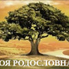 Моя родословная