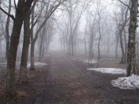 Балашов