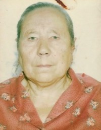 Пиксайкины
