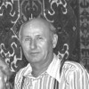Васильевы