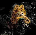 ЮМОР