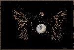 МИФ